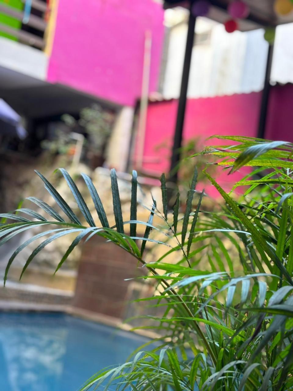 Playa Sayulita Hotel Exterior photo